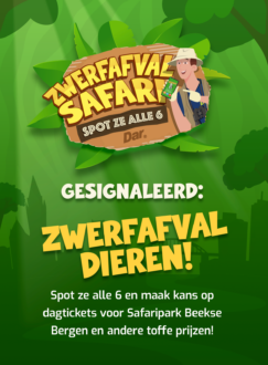 Zwerfafvalsafari met uitleg